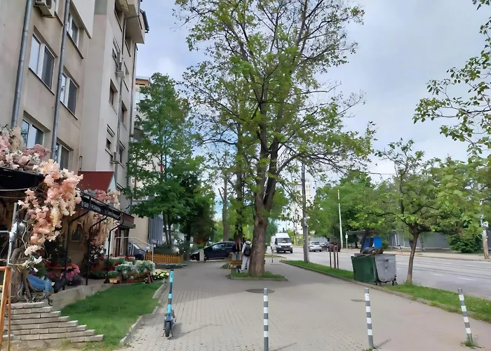 Independent Studio In A House In The City