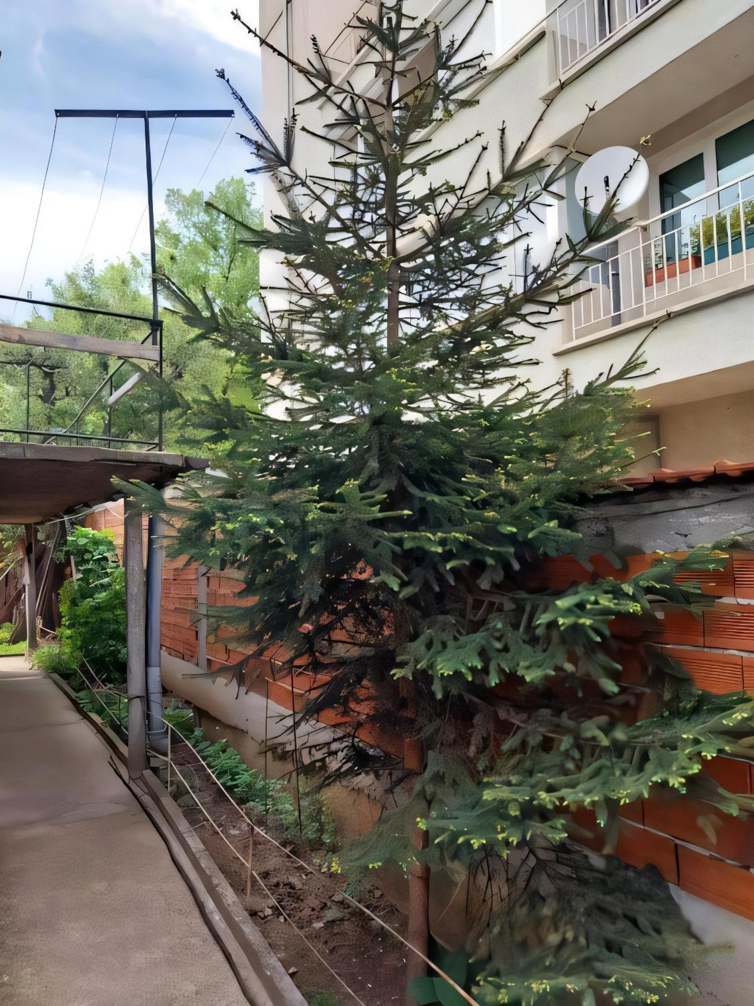 Independent In A House In The דירה